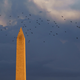Image for article titled The Influencers Are Lobbying Washington, but What Do They Want?